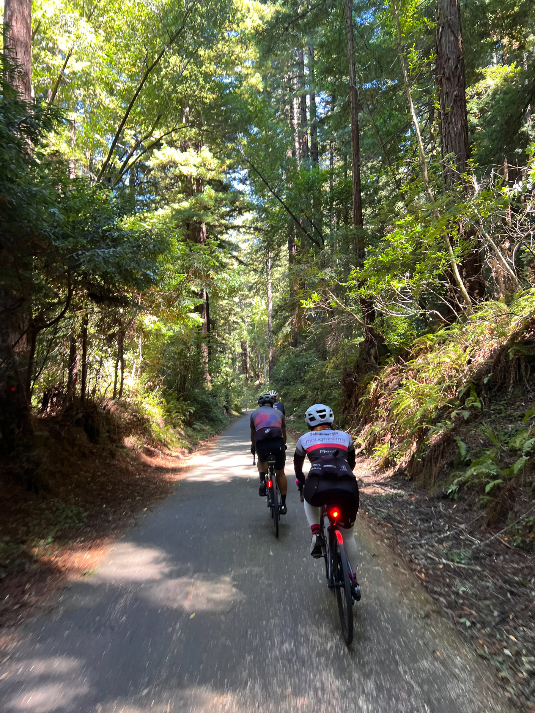 Wasi Wahid image0.jpg